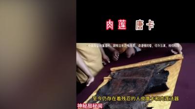 刑警多杰与老胡入神秘寺庙追捕汪志勇，揭秘人皮唐卡与肉莲真相 .唐卡是什么