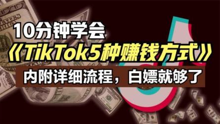 福粒电商：TikTok海外影视课程全套-课程-网盘资源分享