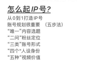 资料IP变现-课程-网盘资源分享