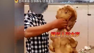 2014年夏李中平挖地基现邪太岁，引发争夺酿祸事 .太岁到底是什么东西