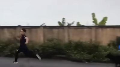 被恶犬袭击怎么办？了解原因与应对方法，快来留言讨论 .藏獒追你怎么办