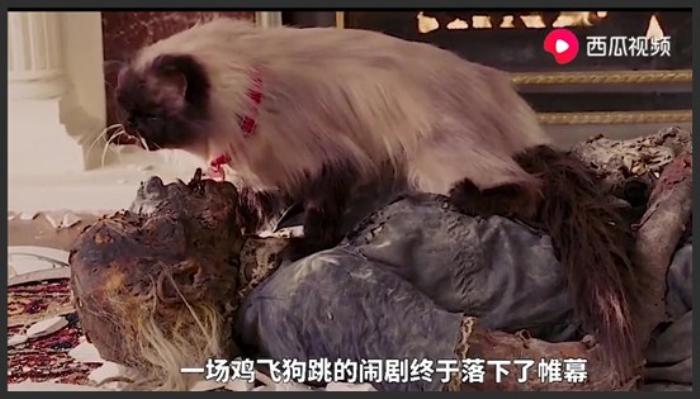 《约会电影》电影解说《约会电影》《随机约会》-吾爱原创解说文案-[原创首发]-吾爱文案网