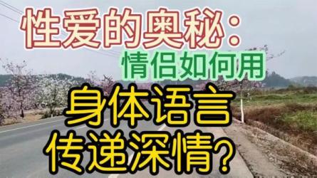 视频教程《情侣爱爱指南》让你成为爱学习的好孩子-课程-网盘资源分享