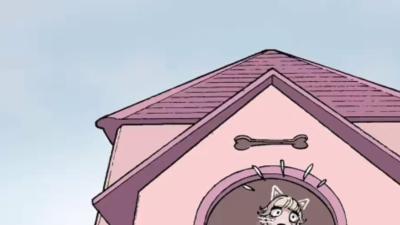 狗狗玩偶被撕、房间被占惨死，竟是猫咪复仇抢占“领地” .小倩说漫画