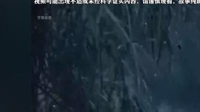 八十年代山东菏泽奇事：柳树招鬼、柳婆婆诅咒与女子离奇死亡 .柳树开白花