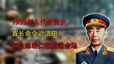 [视]1959年人代会前夕，贺龙密令迟浩田：“别让陈明仁带枪进会场！”-原创解说文案