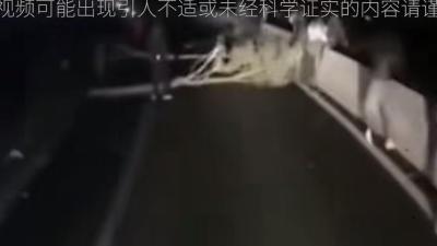 川藏无人区货车司机遇背包客鬼影，古老佛牌助其脱险惊魂夜 .川藏线