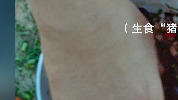 揭秘缅北罪恶与平远街缉毒风云，《绝地追击》还原英雄无畏守护安宁  《全文完》 .绝地追击-[原创首发]-吾爱文案网