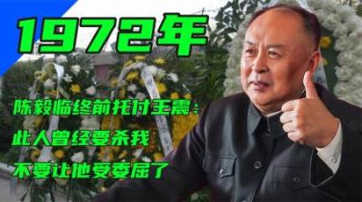 [视]1972年，陈毅临终前托付王震他当初差点枪毙我，不要让他受委屈-原创解说文案