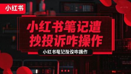 小红书笔记遭抄袭投诉咋操作