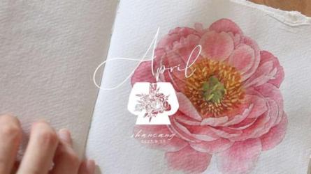 苍有关古风花卉动物水彩风插画课-课程-网盘资源分享