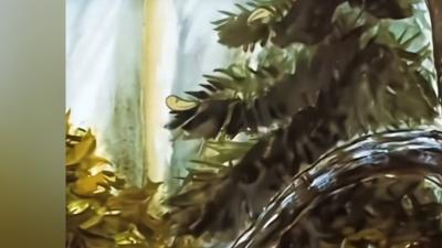 猎人捕猎险象环生，水獭出手相助，终悟万物皆有灵 .水獭宠物
