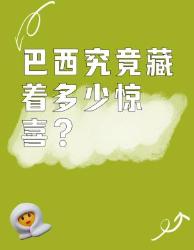 巴西的冷知识能有多离谱？看完第条瞳孔地震！！