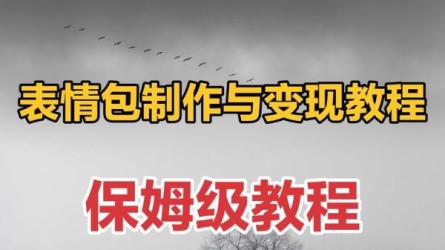 表情包短视频变现项目，短视频0基础马上学，月入10000如...-课程-网盘资源分享