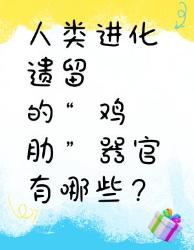 人类进化的大器官看完想拆掉重装