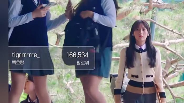 网红小狼遭霸凌曝光后勇敢面对，与恩泽收获美好爱情 .生存直播-[原创首发]-吾爱文案网