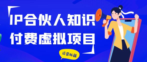 IP合伙人知识付费虚拟项目【】