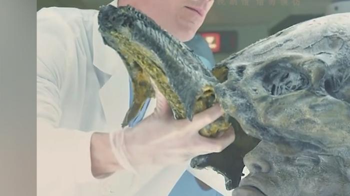 《普罗米修斯》与《契约号》：外星探险、异形危机与人类命运的交织 .异形-[原创首发]-吾爱文案网