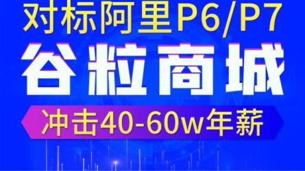 谷粒商城Java架构师微服务大型电商项目搭建视频教学_09-课程-网盘资源分享