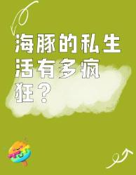 海豚私生活大揭秘温柔外表下竟是动物界？动物冷知识