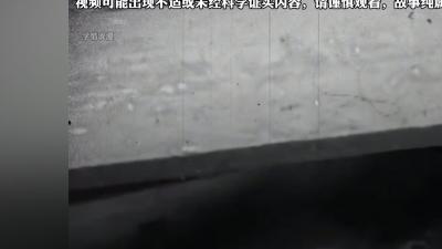 成都僵尸事件惊动749局，山村恐慌背后隐藏着不为人知的秘密 .什么是749局