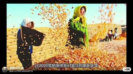 蔡钰·商业参考3-课程-网盘资源分享