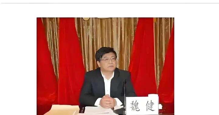 中纪委的害群之马 魏健