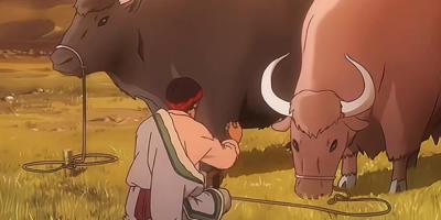 草原牦牛与牧民遇害引误会，金獒历经波折终除恶魔后壮烈离世 .藏獒多吉