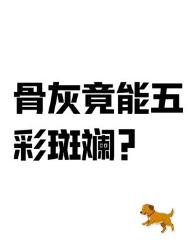 骨灰居然不是灰白色？五彩斑斓的真相在这！