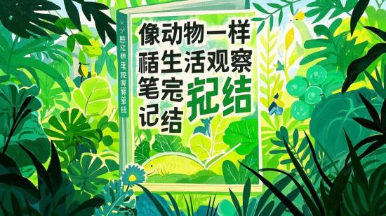 像动物一样生活观察笔记完结