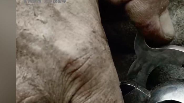 黑奴威尔历经磨难逃亡，见证奴隶制残酷，终获解放但平等仍任重道远 .林肯为什么要解放黑奴-[原创首发]-吾爱文案网