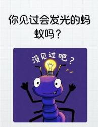 你绝对想不到的昆虫界黑科技！昆虫世界神奇自然