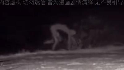 河北衡水蔡徐村李忠平雪夜独行遇“鬼领路”，究竟看到了什么 .民间灵异事件