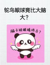 鸵鸟眼睛比脑子还大？！草原生存的视觉密码