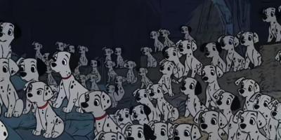 99只斑点狗被盗欲制皮草，动物接力营救却遭遇波折 .101忠狗真人版