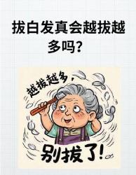 拔白头发真的会越拔越多？科普真相护发指南
