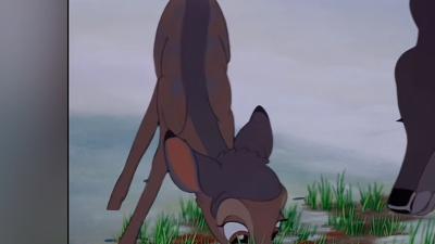 小鹿斑比历经丧母、爱情波折、猎人追杀等磨难终成鹿王    .小鹿斑比