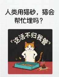 人类用猫砂被围观？猫咪掩真相震惊铲屎官