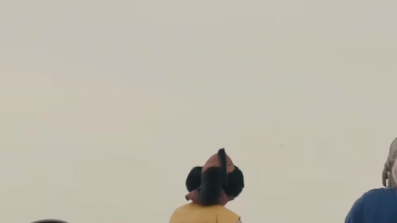 辽朝开国皇帝耶律阿保机：从神秘诞生到传奇一生的崛起与落幕 .耶律阿保机