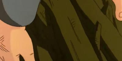 勤劳樵夫救野猪获报恩，历经波折娶首富之女后战胜蜈蚣精过上富足生活 .野猪的羽毛