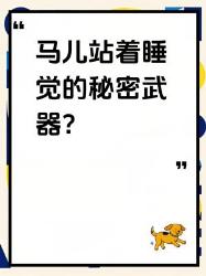 站着睡觉的秘密被我破解了！马儿自带的大生存黑科技