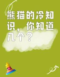 熊猫冷知识大公开！这些隐藏技能你知道几个？熊猫冷知识