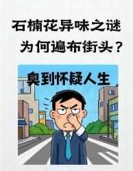 石楠花这么臭！为什么每个城市都要种它？