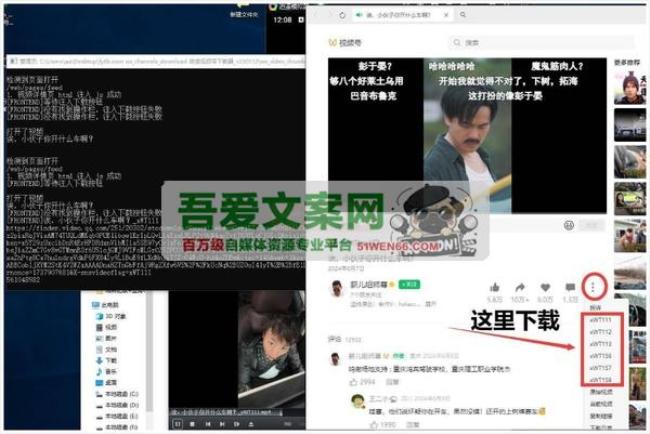 wx_channels_download 微信视频号下载器_V250112 PC版[原创资源]