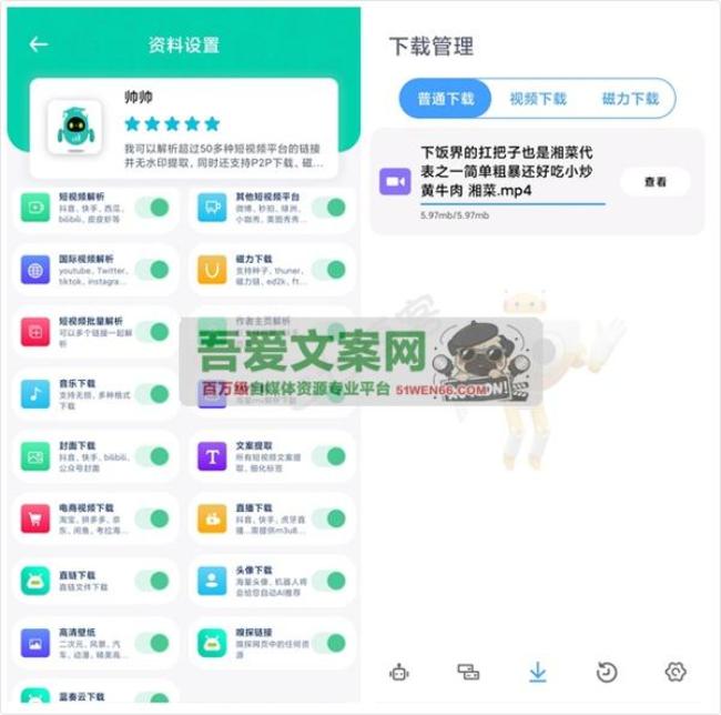 安卓解析机器人APP_V1.1.4 高级版[原创资源]