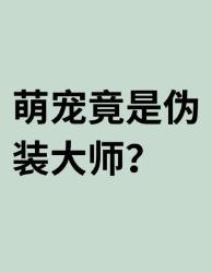 萌宠竟是伪装大师？这些动物冷知识颠覆你的认知！