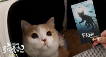 和猫猫狗狗一起在影戏院看影戏，你情愿吗？
