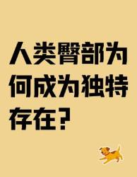 人类为什么拥有蜜桃臀？个进化冷知识颠覆认知！
