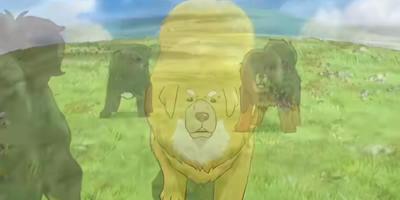 草原金银藏獒决斗滚落山崖，男孩施救后金色藏獒留下报恩获名多吉 .藏獒多吉