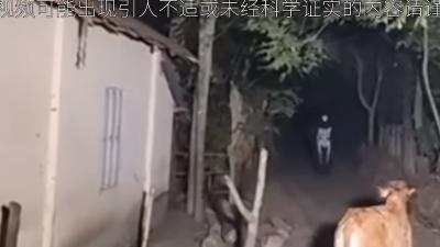 东北老家看马场七舅姥爷遇阴差找老刘，次日老刘身亡，此后舅爷常熬夜 .鬼差勾魂监控